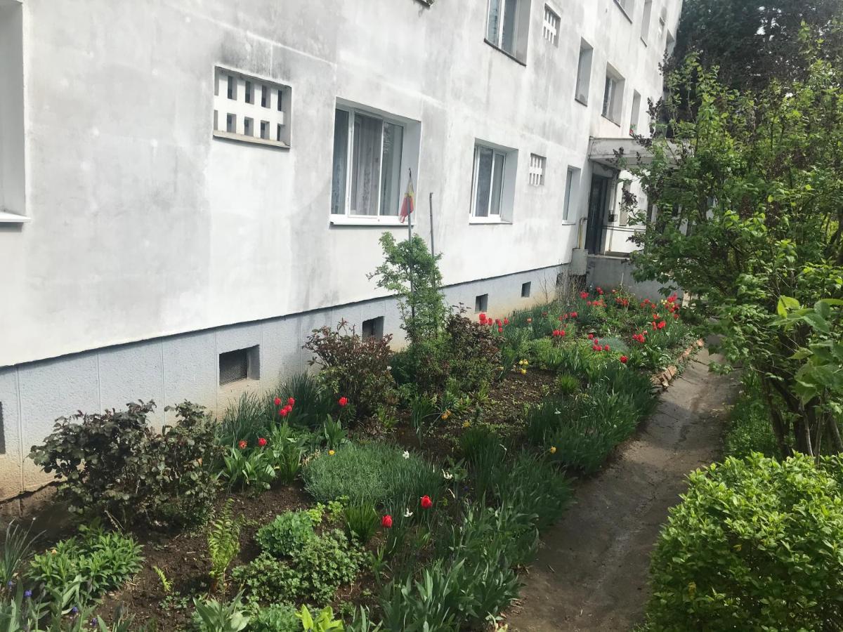 Apartament Colina Cluj-Napoca Esterno foto