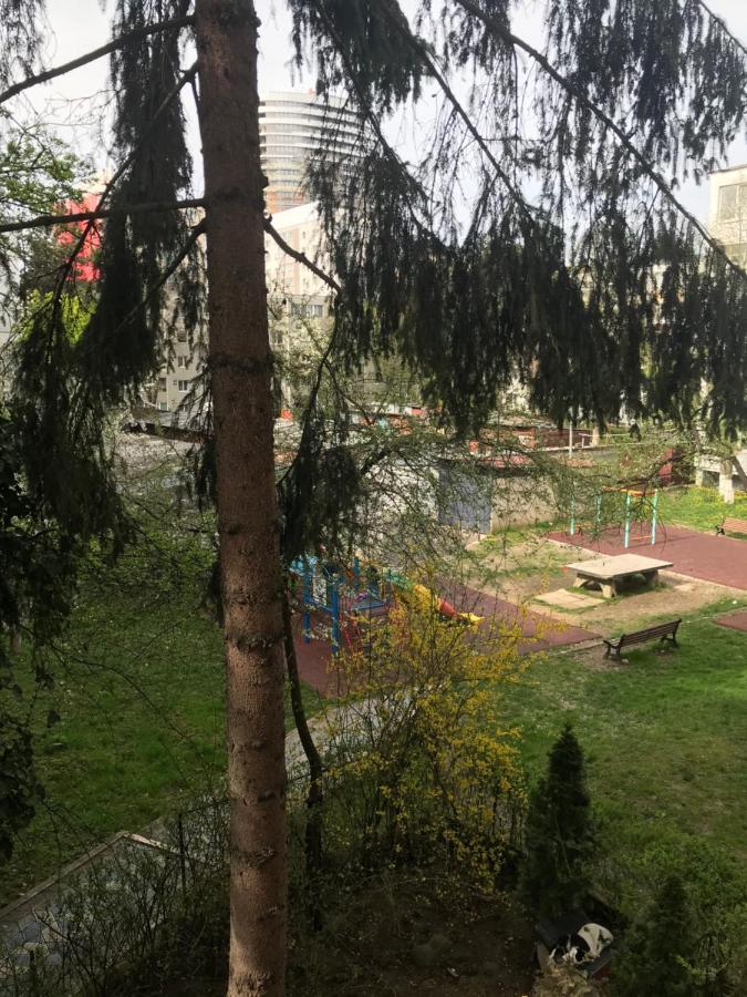 Apartament Colina Cluj-Napoca Esterno foto